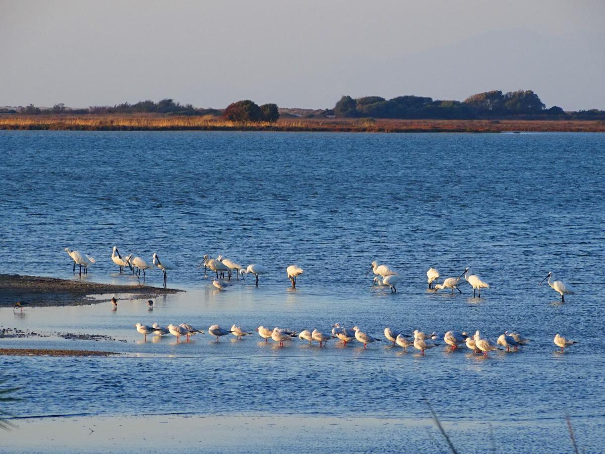 Vissala Village Chortata Экстерьер фото